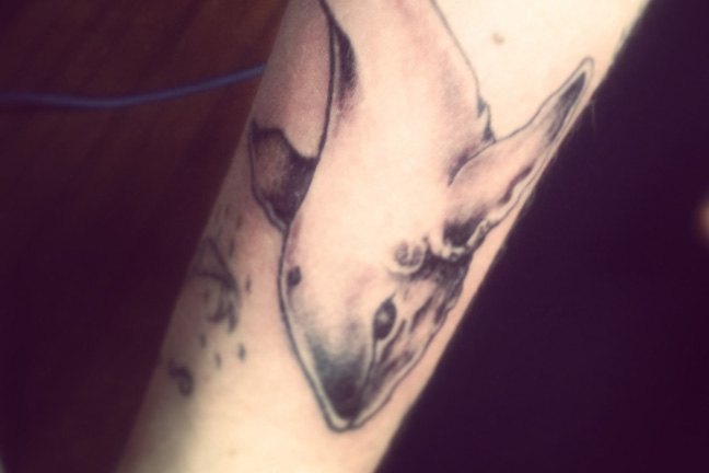 Whale Arm Tattoo