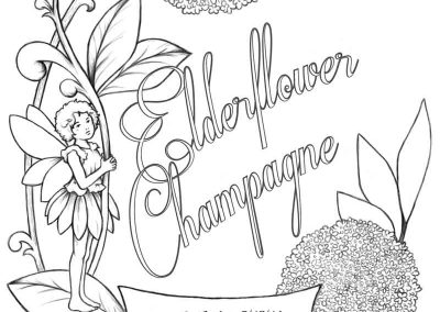 Elderflower Champagne – Logo and Label