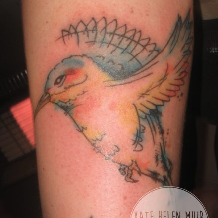 Kingfisher Arm Tattoo